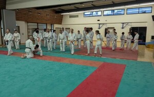 67542bba09114_Parajudo.jpeg