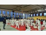 Les judokas participant à cet événement 