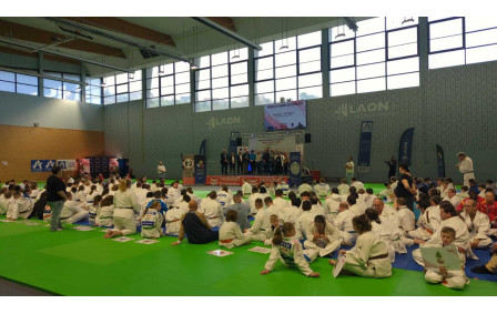 Les judokas