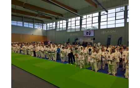 Les judokas